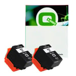 Q-Nomic Pack 202XL BK 2 tinteiros pretos  XL | QNB-202XLBK2X