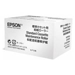Epson S210049 rolo de manutenção opcional | EPSS210049