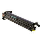Ricoh MPC3501 (D0892251) tambor cores | RICD0892251