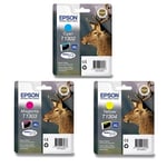 Epson T1306 pack 3 tinteiros | EPSB-T1306