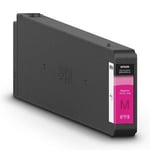 Epson C13T16A300 tinteiro magenta | EPSC13T16A300