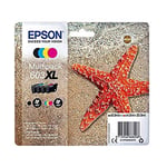 Epson 603 XL multipack 4 cores | EPSB603XLBKCMY_R
