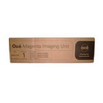 Océ 29951187 unidade de imagem magenta | OCE29951187