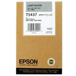 Epson T543700 | EPST543700