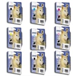 Epson T096 serie Pack tinteiros | EPSB-T096serie
