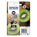 Epson 202 tinteiro preto fotografia | EPS202PBK