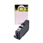 Q-Nomic PFI-300CO tinteiro optimizador de brilho | QN4201C001