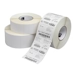 Zebra Cryocool 8000T 3004545 etiqueta branca 51X25mm | ZEB3004545