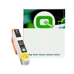 Q-Nomic 33XL (T3361) tinteiro foto preto XL | QNT3361