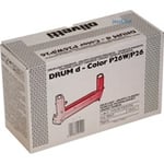 Olivetti B0623 Tambor magenta | OLIB0623