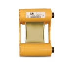 Zebra 800033-806 fita dourado monocromo | ZEB800033-806