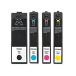 Primera pack quatro cores 53422-53423-53424-53425 | PRIB-53422345