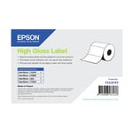Epson 7113757 Etiqueta de alto brilho 76 x 127 mm | EPS7113757