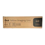 Océ 29951188 tambor amarelo | OCE29951188