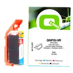 Q-Nomic PGI-9R | QNPGI-9R
