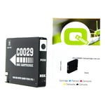 Q-nomic PGI-29MBK tinteiro preto Mate | QNPGI-29MBK