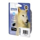 Epson T0965 | EPST0965401