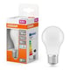 Osram lâmpada LED E27 A60 fosca luz fria 4,9 W | 40 W