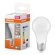 Osram lâmpada LED E27 A60 fosca luz fria 8 W | 60 W
