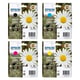 Epson 18XL (T1816) pack 4 tinteiros | EPSB-T1816