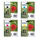 Epson 29XL (T2996) Pack 4 cores | EPSB-T2996