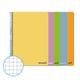 PACK x5: Caderno Espiral Folio | 80F | Quadrícula 4mm | Capa Dura| 75gr (Sortidos)