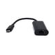 Adaptador de Rede a USB C