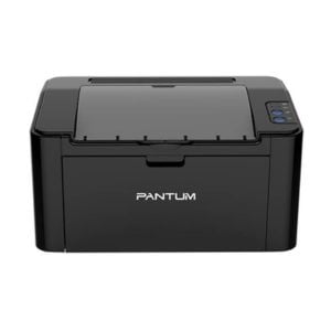 Pantum P2516
