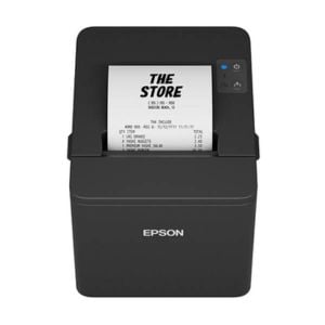 Epson TM-T20IV (102)